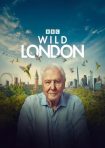 دانلود فيلم Wild London 2026 | لندن وحشی