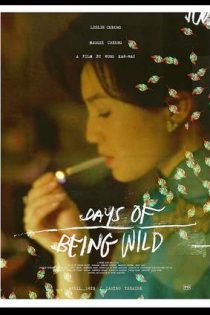 دانلود فيلم Days of Being Wild 1993 | روزهای وحشی بودن