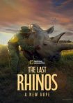 دانلود فيلم The Last Rhinos: A New Hope 2025 | آخرین کرگدن‌ها: امیدی تازه