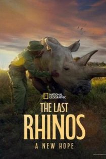 دانلود فيلم The Last Rhinos: A New Hope 2025 | آخرین کرگدن‌ها: امیدی تازه